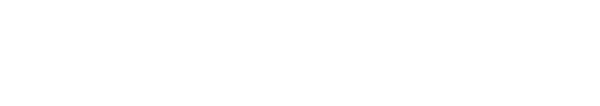 Minleon (USA) International